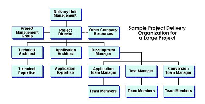 project delivery organization for large project