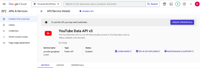 Youtube Credentials API key
